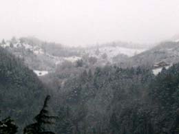 foto M.Grizzani neve del 9 Dicembre 2003